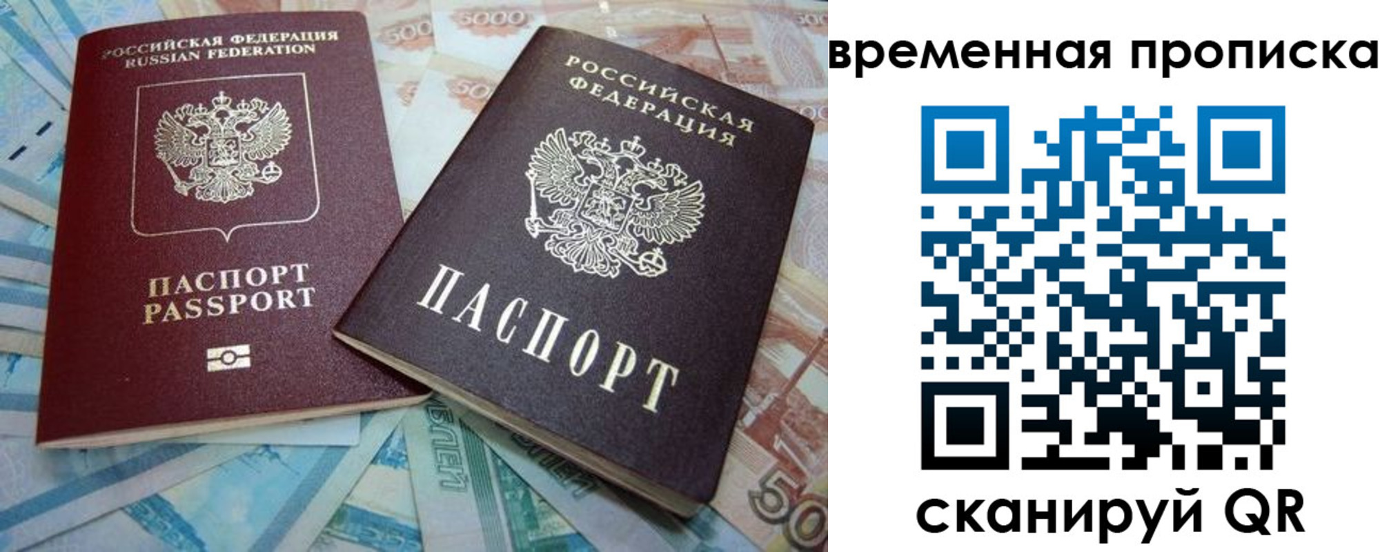 прописка поиск в Рязани